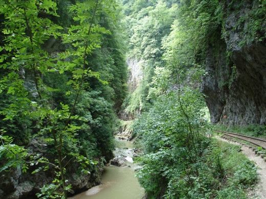 929207 (a): :2592x1944
